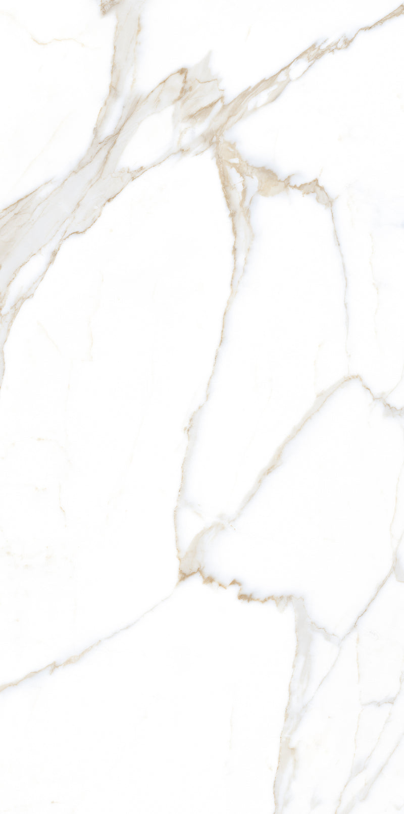 Vloertegel Calacatta Jade Wit 60x120 cm Rechthoek – Mat Gerectificeerd – Marmerlook met Grijze Adering