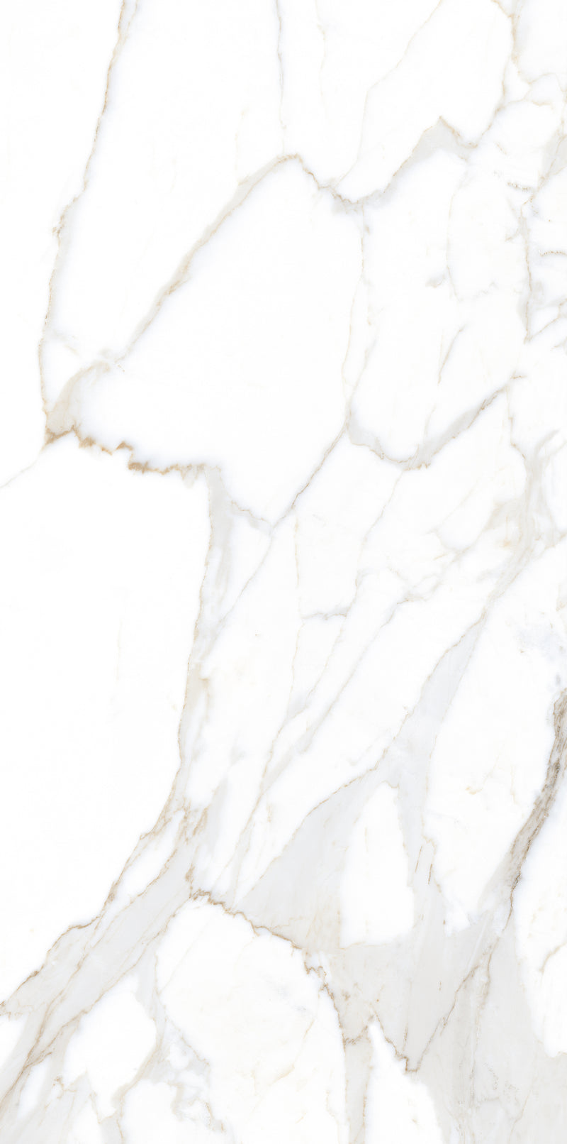 Vloertegel Calacatta Jade Wit 60x120 cm Rechthoek – Mat Gerectificeerd – Marmerlook met Grijze Adering