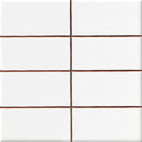 Wandtegel Precorte Blanco 5x10 (20x20) cm brillo glans