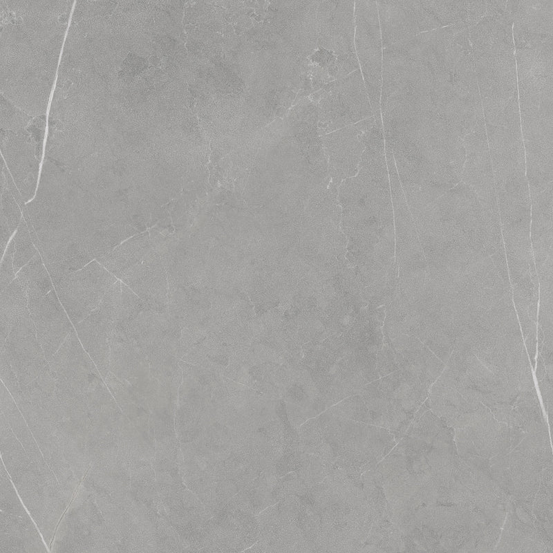 Floor tile Allure Grey 89.8x89.8 cm