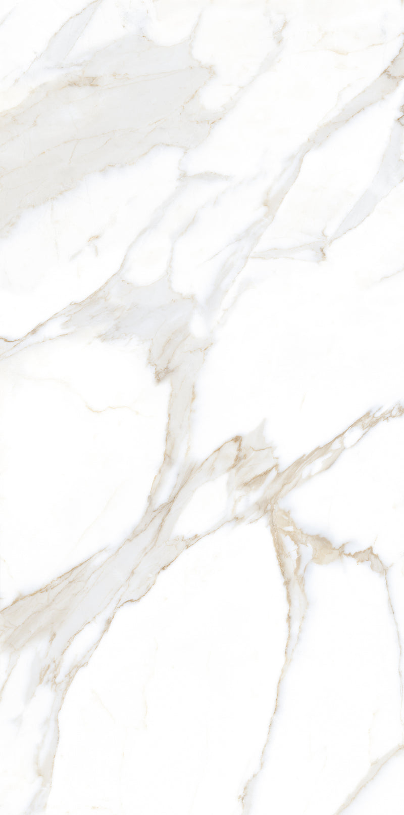 Vloertegel Calacatta Jade Wit 60x120 cm Rechthoek – Porselein Hoogglans Gerectificeerd – Marmerlook met Grijze Adering