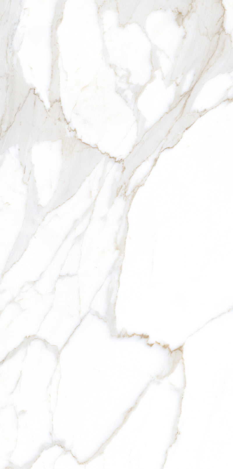 Vloertegel Calacatta Jade Wit 60x120 cm Rechthoek – Mat Gerectificeerd – Marmerlook met Grijze Adering