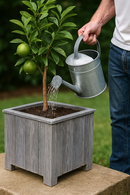 Jardinière carrée lot de 3 Acacia Gris brossé FSC 