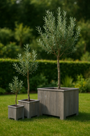 Jardinière carrée lot de 3 Acacia Gris brossé FSC 