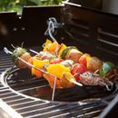 GasBBQ Landmann Triton MaxX PTS 4.1 Argent
