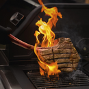 GasBBQ Landmann Triton MaxX PTS 4.1 Argent