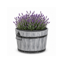 Jardinière Storm Lignum - 26 cm de haut - Ø 37 cm - Gris Brossé - Jardinières d'extérieur rondes - Bac à arbres en bois d'acacia FSC - pour Jardin, Terrasse et Balcon