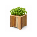 Square planter S Lignum Acacia FSC 30 x 30 cm Natural oiled
