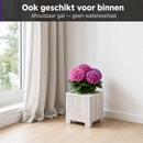 Storm Plantenbak Vierkant 30x30 cm Wit Acaciahout FSC