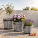 Storm Boomkuipen Set 3 Stuks Rond S/M/L Geborsteld Grijs Acaciahout FSC