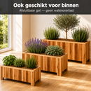 Jardinière Storm Lignum - 30 cm de Hauteur - 70x30 cm - Huilé Naturel - Jardinières d'Extérieur Rectangulaires - Bois d'Acacia FSC - pour Jardin, Terrasse et Balcon