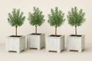 Square planter S Lignum Acacia FSC 30 x 30 cm White