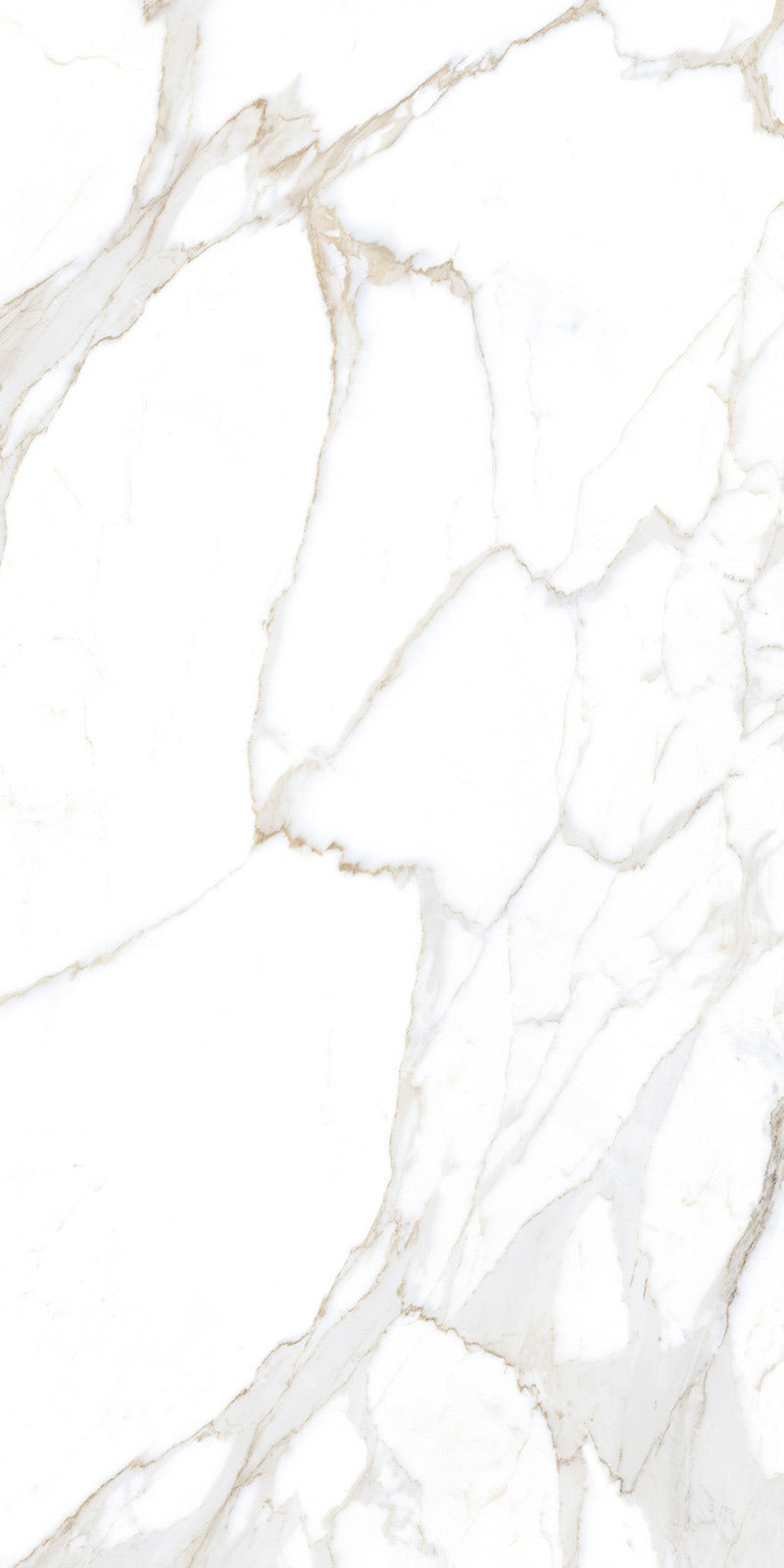 Vloertegel Calacatta Jade Wit 80x160 cm Rechthoek – Hoogglans Gerectificeerd – Marmerlook met Grijze Adering