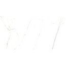 Vloertegel Royal marm polished rect. 60 x 120 cm -