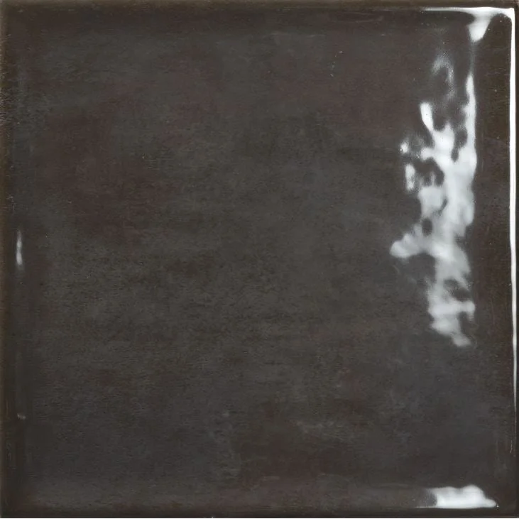 Wandtegel Nara negro brillo uni 22.5 x 22.5 cm - Wandtegels
